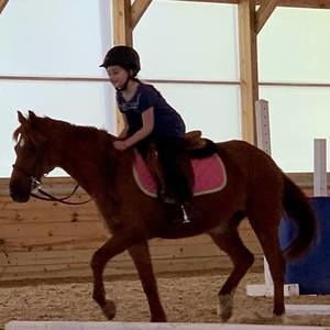 Meet your Posher, Nancy